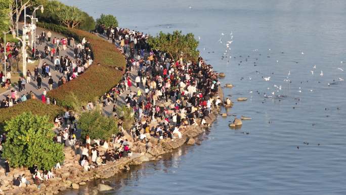 深圳湾公园观鸟人群深圳湾候鸟