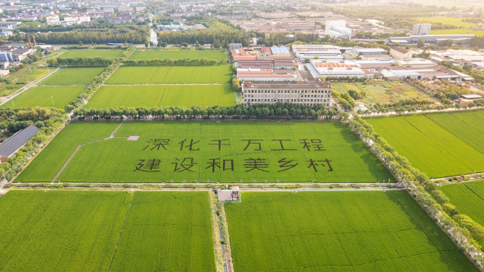 深化千万工程，深化和美乡村 稻田画航拍