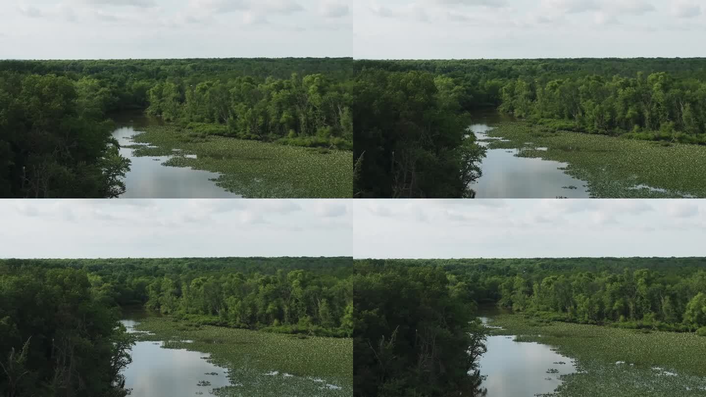 美国密苏里州拉马尔湿地生境自然环境森林，空中