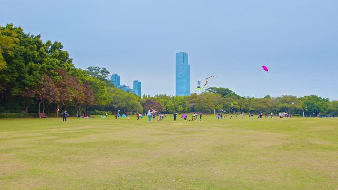 深圳莲花山公园放风筝