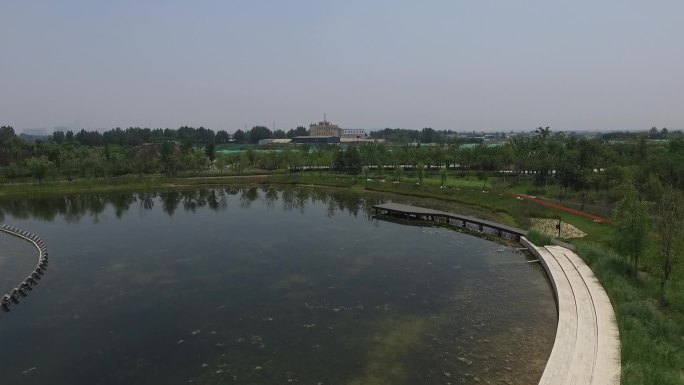 场景-自然花卉  城市草地