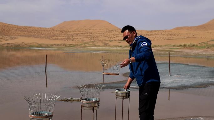 地质工作者统计沙漠降水量