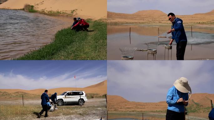 地质工作者统计沙漠降水量