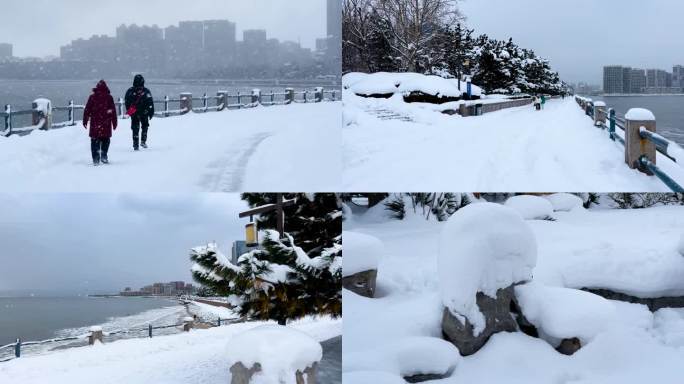 浪漫的雪景 唯美的雪花 雪花飞舞  09