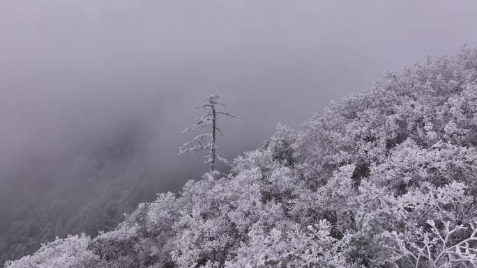 雪山