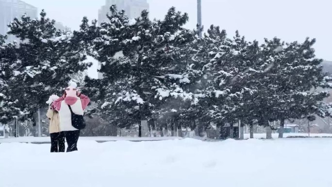 浪漫的雪景 唯美的雪花 雪花飞舞  06