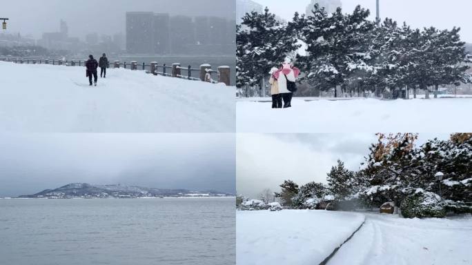 浪漫的雪景 唯美的雪花 雪花飞舞  06