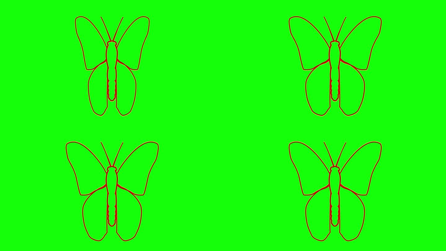 动画红色蝴蝶扇动翅膀。线性符号。毛圈的视频。矢量插图隔离在绿色背景上。