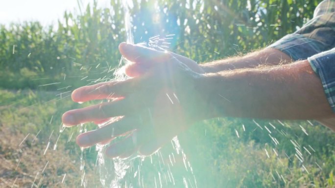 农田工人洗手特写。农民在田间种植后用水。把清水倒在胳膊上。检查植物或叶子时清洁手指。农村的生活