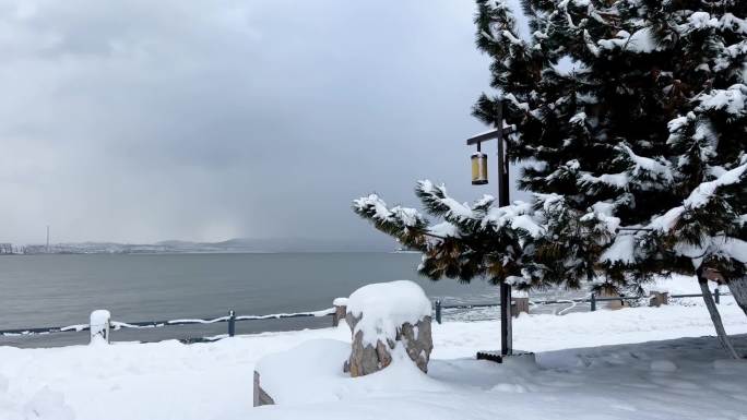 浪漫的雪景 唯美的雪花 雪花飞舞  08