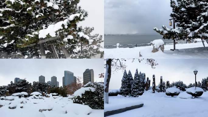 浪漫的雪景 唯美的雪花 雪花飞舞  08