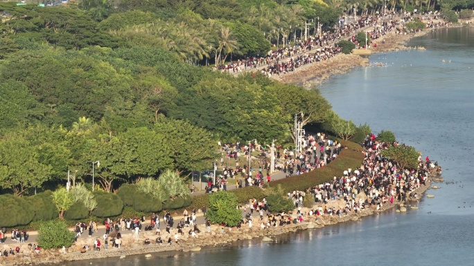 深圳湾公园观鸟人群深圳湾候鸟