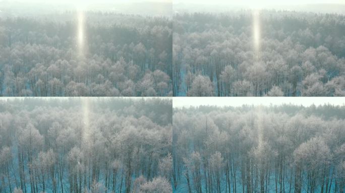 美丽的白雪皑皑的森林在冬天霜冻的日子。俯瞰惊人的松树林景观。公园森林的风景。冬季霜冻森林的自然高架景