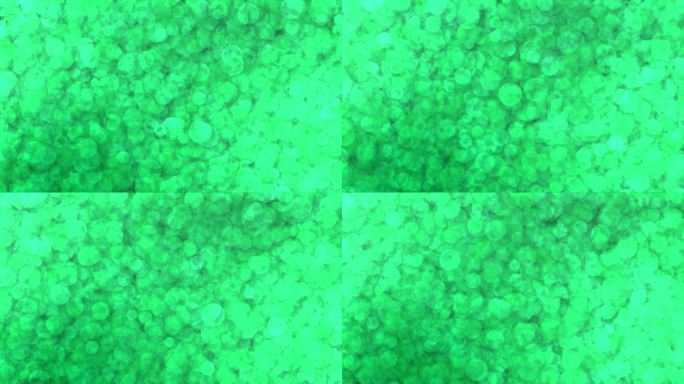 绿松石色闪亮的粒子美丽的背景，出现和消失移动的粒子背景