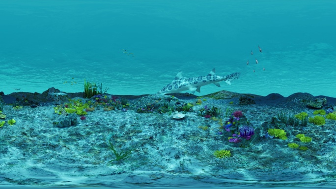 VR全景海底世界360度8K