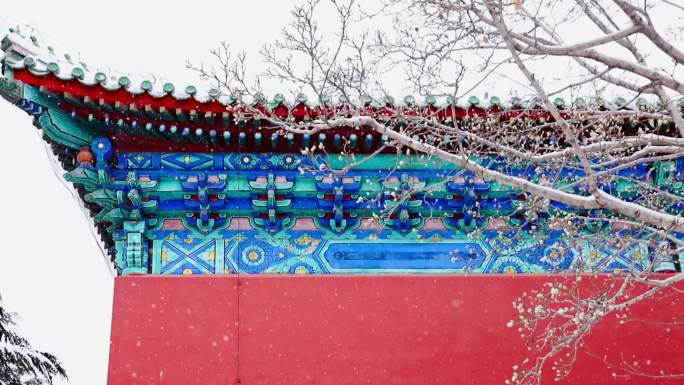 实拍北京2023年初雪天坛斋宫飘雪合集