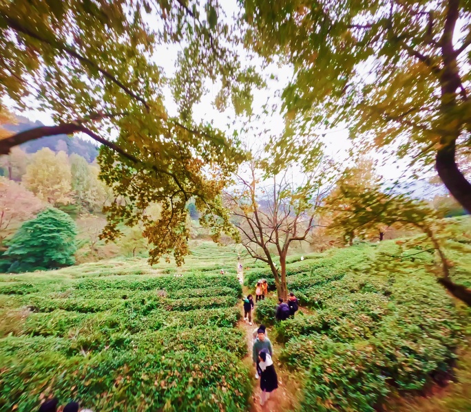 广东惠州“无量山”枫叶穿越机航拍4K视频