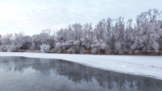 湿地 冬 航拍 清晨 额尔古纳