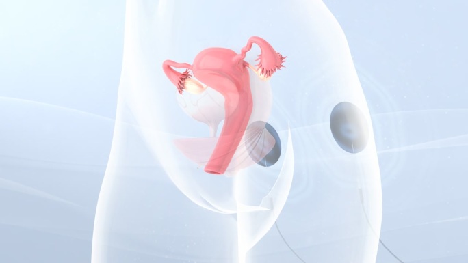 加速子宫复旧  妇科 经血 女性子宫卵巢