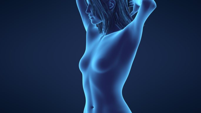 3D模型人物丰胸动画胸部变大丰满提胸蓝色