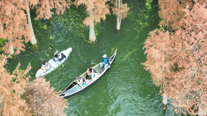 2023年冬季航拍杭州青山湖水杉水上森林