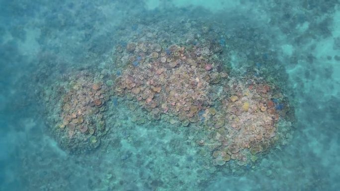 在大堡礁的五彩珊瑚礁生态系统上缓缓上升。无人机的观点