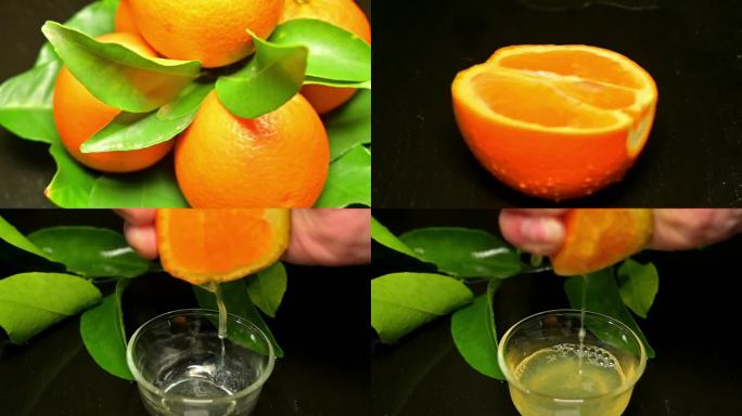 脐橙，脐橙树，脐橙展示，脐橙汁，脐橙广告