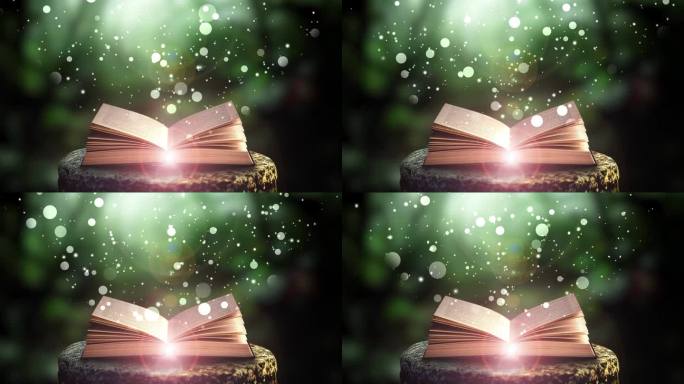 童话书在石头在大自然与发光的光和飞粒子从纸魔法书。圣经故事，
