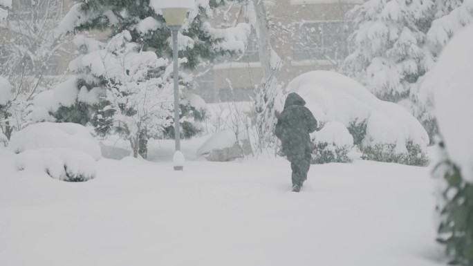 冬天下着大雪