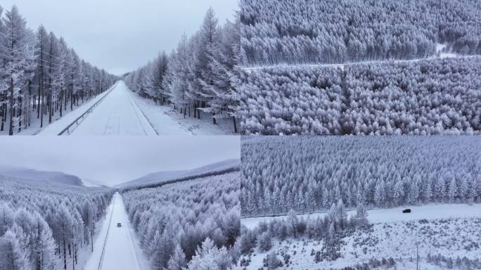 汽车行驶在冰天雪地的桦树林