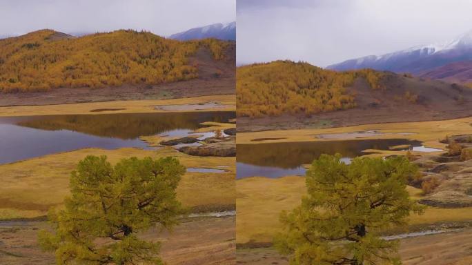 孤树、孤湖、孤山。Eshtykel高原。阿尔泰山脉，俄罗斯。垂直视频