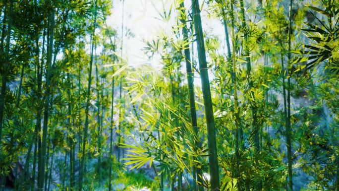 一幅描绘森林里竹子的画
