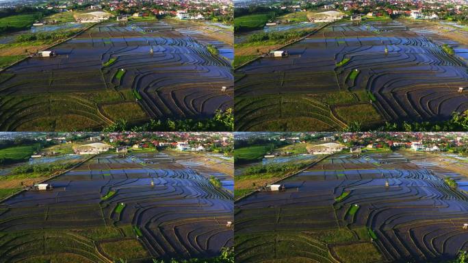 印度尼西亚巴厘岛村庄附近种植园里被淹的稻田。