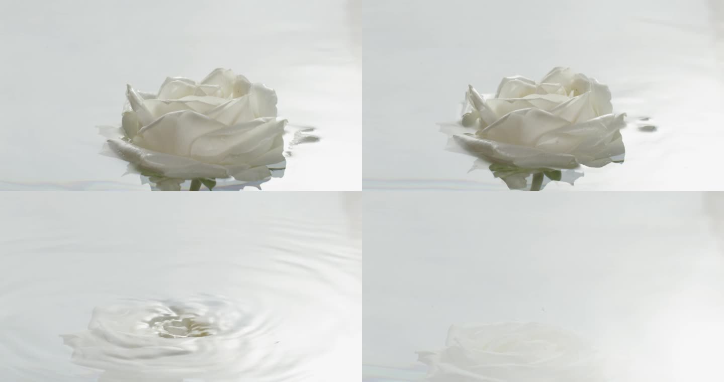 花朵出水