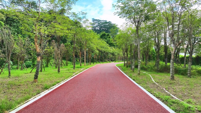 生态步道