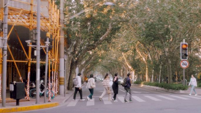 人群过马路上海街景