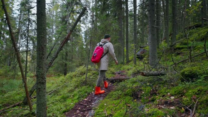 运动健将在林中漫步，秋日里在美丽的森林里背包旅行，积极地休息
