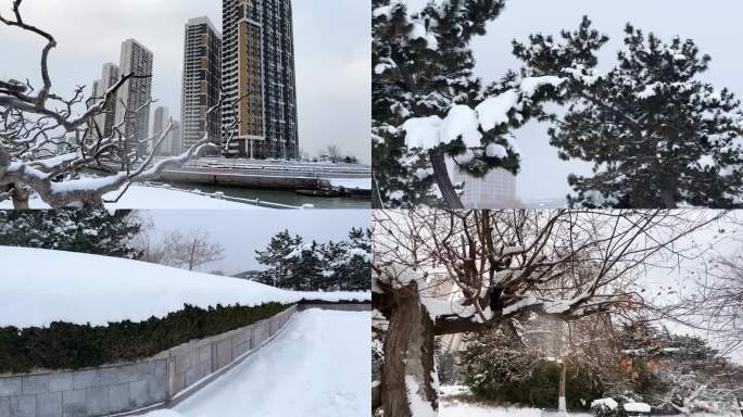 浪漫的雪景 唯美的雪花 雪花飞舞  11