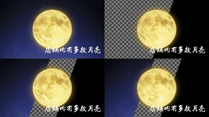 月亮11_金月云