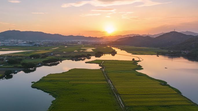 稻田湖泊