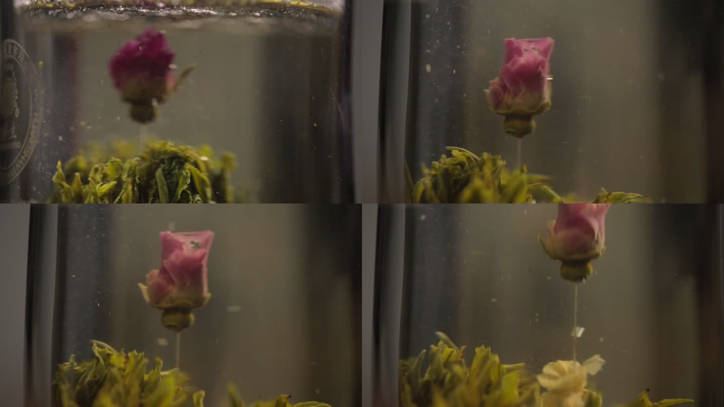 玫瑰花茶冲泡过程 玫瑰花在沸水中绽放