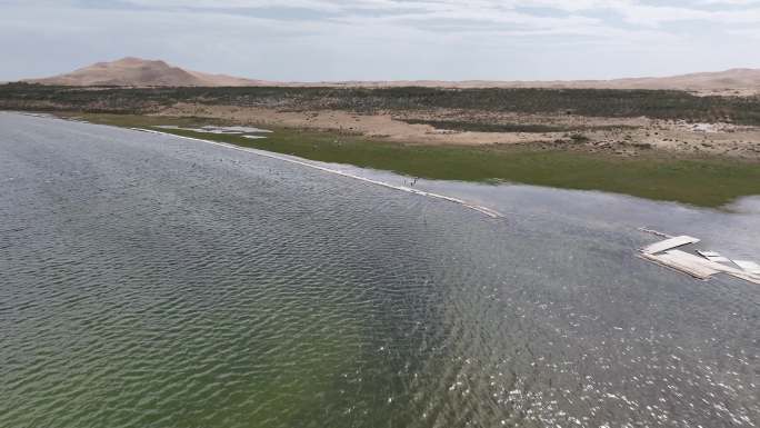 沙漠绿洲青海湖畔