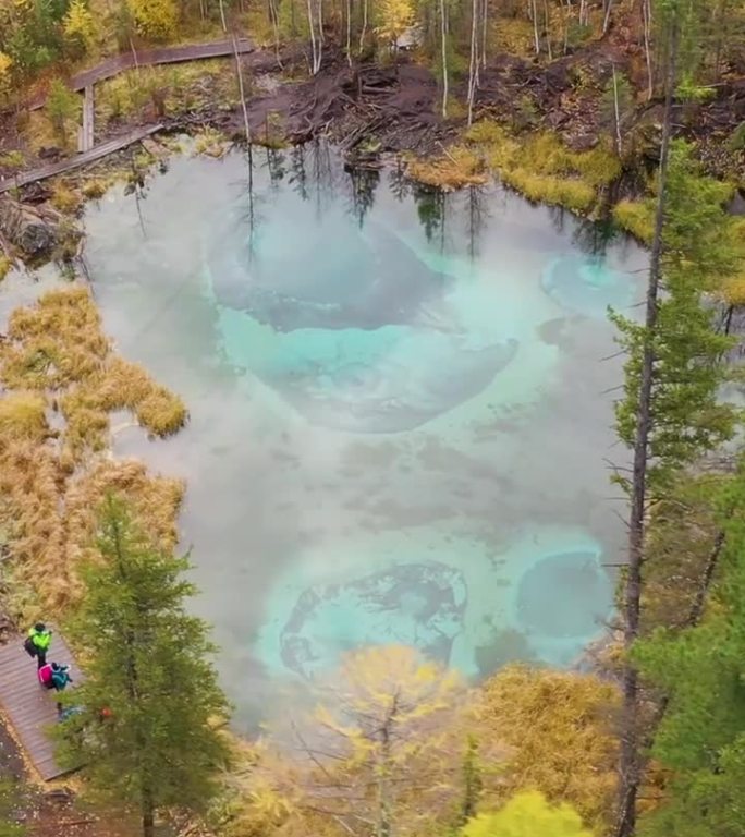 间歇泉、蓝湖和黄树。鸟瞰图。阿尔泰共和国，俄罗斯。垂直视频