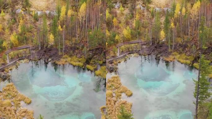 间歇泉、蓝湖和黄树。鸟瞰图。阿尔泰共和国，俄罗斯。垂直视频
