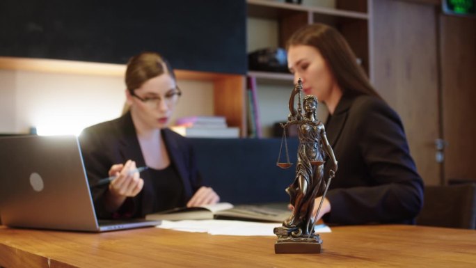 一位女律师在她的工作场所与一位年轻的客户交流，讨论法律意义上的问题。法律和财务问题的咨询理念