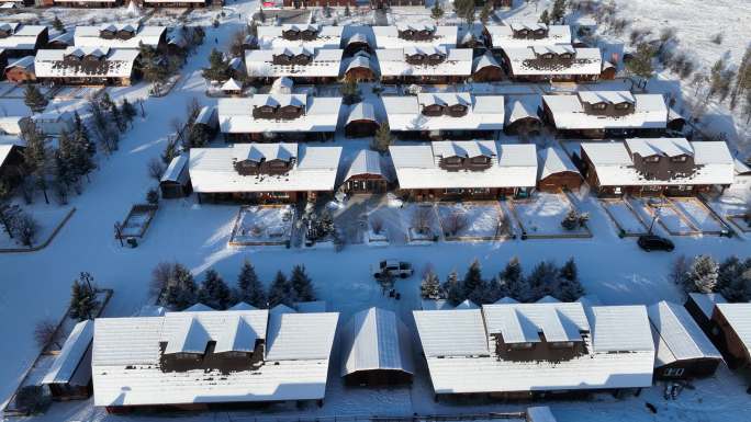 内蒙古敖鲁古雅鄂温克族乡雪景