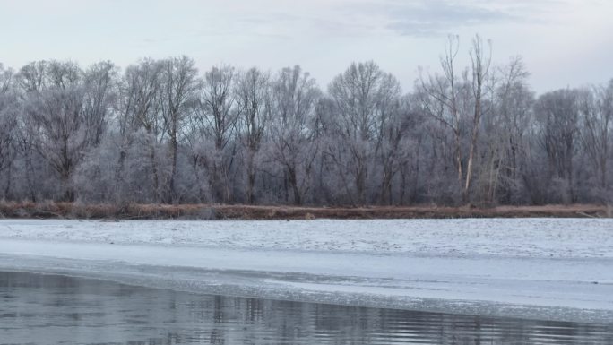 湿地 冬 航拍 清晨 额尔古纳