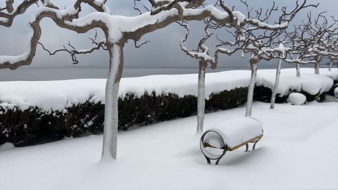 浪漫的雪景 唯美的雪花 雪花飞舞  12