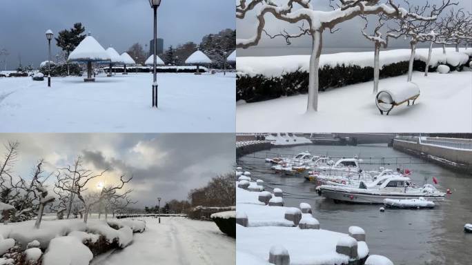 浪漫的雪景 唯美的雪花 雪花飞舞  12