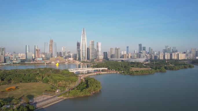 深圳湾大黄鸭